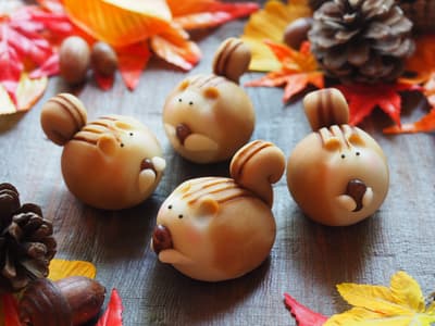 岡女堂新款秋季松鼠和菓子“栗鼠” - 限时发售的传统甜点
