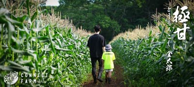 Jagung Manis "Kintaro" Nagano Kembali Hadir untuk Musim Panas 2026 — Pemesanan Kini Dibuka