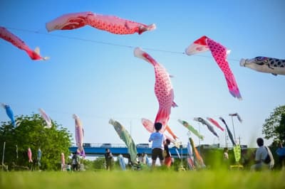 일본판 로미오와 줄리엣 — 사야마시 골든위크, 11세 무사 미나모토노 요시타카를 기리는 행사