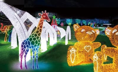 Hita Illuminage 2026 Hadir Perdana di Kyushu di Pabrik Sapporo Breweries Hita pada 31 Oktober