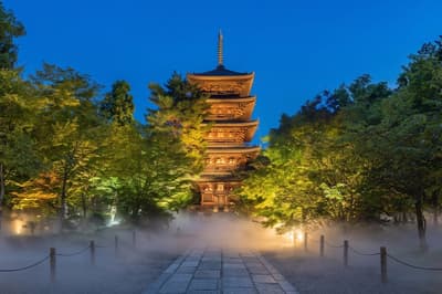 오토나미(Otonami), 릿메이칸 대학 교수 강연과 나카히가시 아츠시 셰프의 디너 코스를 결합한 닌나지 사찰 체험 프로그램 출시