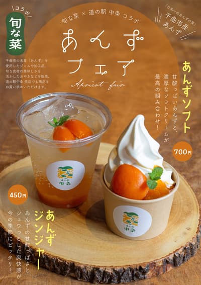 Apricot Fair at Michi-no-Eki Nakajo in Nagano Features Seasonal Treats and Local Specialty Products