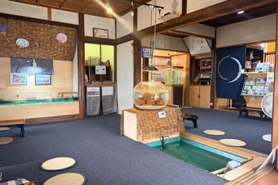 Saga Tamaya Opens "Tamatera Aquarium," a Small Aquarium Inside a Traditional House in Downtown Saga