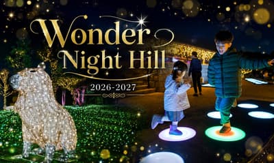 Harvest Hill「Wonder Night Hill 2026-2027」燈光秀將於10月30日起回歸，並聯名森林家族