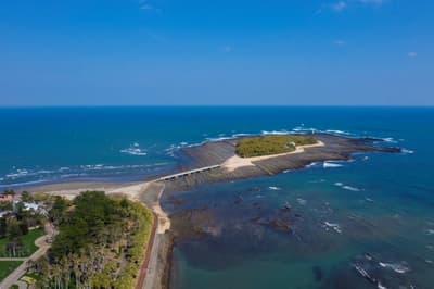 Direct Shuttle Bus to Run Between Miyazaki Airport and Aoshima This Summer