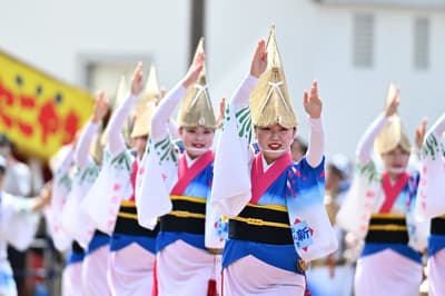 德島阿波舞會館阿波舞特別公演