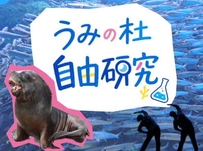 SENDAI UMINOMORI AQUARIUM Hosts "Umino-mori Summer Research" With Hands-On Ocean Learning, July 18 to August 23