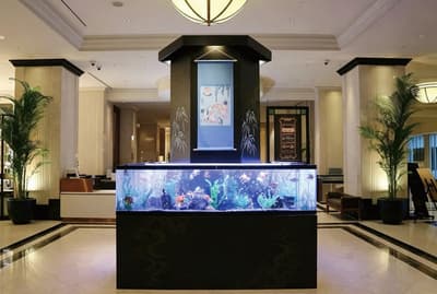 La exposición de verano del lobby del Nagoya Marriott Associa Hotel, "Kingyo no Mai 2026", exhibe cerca de 200 peces dorados de Yatomi