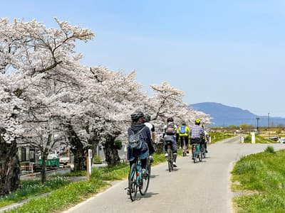骑E-Bike探索奥羽樱花回廊：山形县赏樱骑行导览之旅