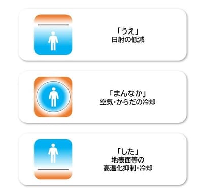 东京迪士尼度假区携手专家伙伴，强化2026年夏季防暑降温措施