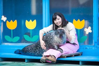 粉絲最愛活動限時回歸，邀請遊客在「海豹寶寶抱枕體驗」中感受海豹的溫度