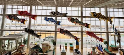 埼玉县加须未来馆“鲤鱼旗水族馆”期间限定开放！更有4月4日&5日鲤鱼旗手工制作体验活动