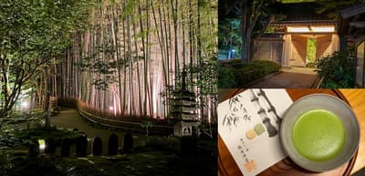 鎌倉大都會飯店於九月推出「報國寺夜間特別參拜與抹茶體驗」住宿方案