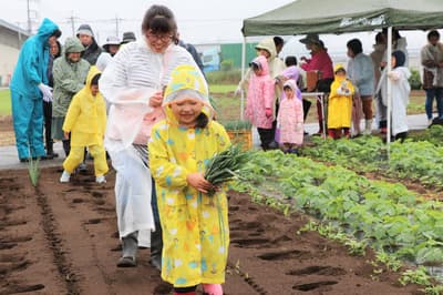 Farming Experience at "Minna no Hatake" in Isesaki, Gunma — Plant Red Onions and Sweet Potatoes on May 30
