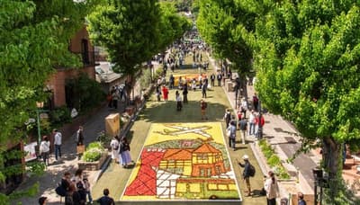 2026年神户花毯节日期公布，这座城市将迎来第28届年度花瓣艺术节