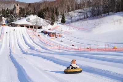 瀧野雪世界開放至3月31日；瀧野鈴蘭丘陵公園綠季於4月19日盛大開幕