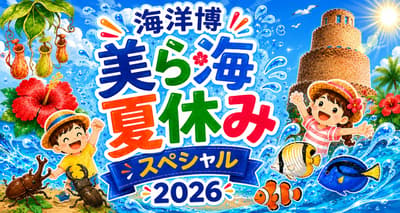 Ocean Expo Park organiza el "Kaiyohaku Churaumi Summer Special 2026" del 1 de julio al 31 de agosto