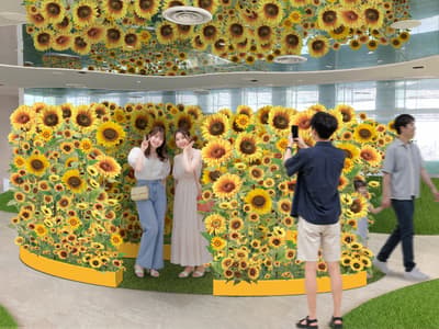 被550朵向日葵簇拥 — 在Tenbou Park开启一场高空夏日逃离之旅