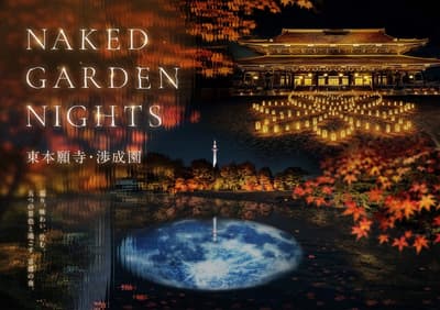「NAKED GARDEN NIGHTS」於京都東本願寺與涉成園舉辦秋季夜間光影展