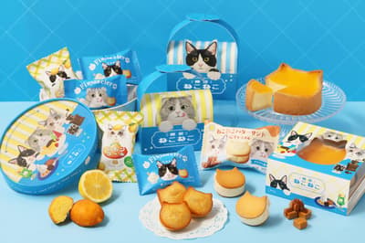 Neko Neko 於 2026 年 6 月 1 日推出以「貓咪咖啡廳」為主題的貓咪造型夏季甜點