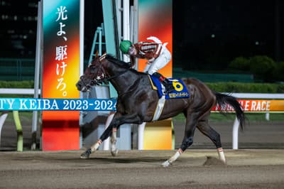 Minami-Kanto Classic's Last Unbeaten Triple Crown Horse, Mick Fire, Retires