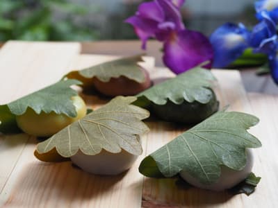 丰桥市冈女堂推出稀有“高粱”粉柏饼，五种口味庆贺儿童节