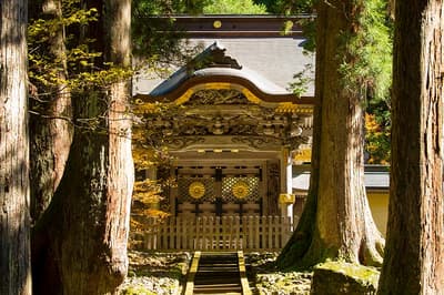 福井永平寺·觉树苑ESHIKOTO推出禅意疗愈住宿方案