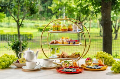 International Garden Hotel Narita Serves Weekday-Only "Autumn Afternoon Tea" With Shine Muscat, Kyoho Grapes, and Chestnut