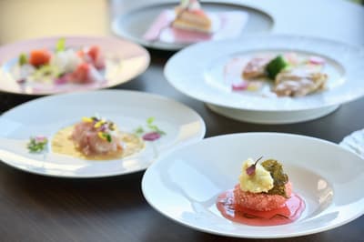 下田王子大饭店宣布赏樱住宿计划，伊豆半岛河津樱花提前绽放