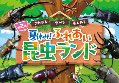 触摸、学习并与昆虫共玩！星丘三越“第2届暑假！昆虫互动乐园”（7月29日–8月17日）