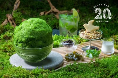 星野集团奥入濑溪流酒店推出"奥入濑苔玉冰"——以溪流天然苔玉为灵感的刨冰体验