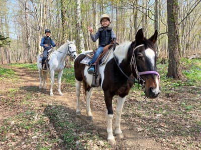 北海道儿童骑马营——在二世古的壮丽户外体验骑马！