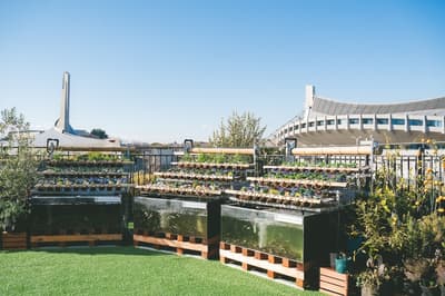 在城市中心滋養身心靈 - AGRIKO FARM PW 代代木公園店開幕