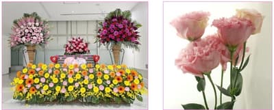 用鲜花表达对亲人的感谢——九大学研都市站首次举办“鲜花情人节”活动