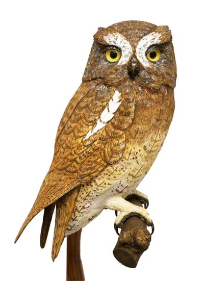 Lifelike Wood-Carved Birds and Live Owls at Handa City Museum — "The World of Bird Carving" Exhibition