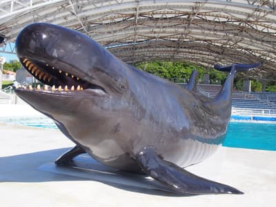 沖繩美麗海水族館於 6 月 23 日推出夏季潑水秀「美麗海 Splash Fes」
