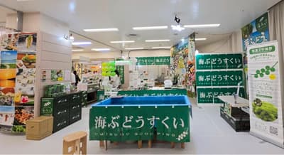 海葡萄主题公园“Uminchi”限时空降东京池袋Sunshine City