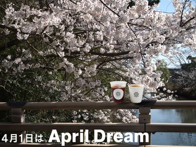 MATAHARI COFFEE 計劃開設咖啡店，以提升松江城周邊的魅力