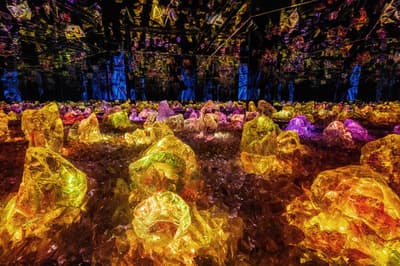 teamLab Biovortex Kyoto to Open Teahouse in a Sea of Light on November 20