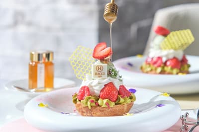 青山 St. Grace Cathedral x HACCI「HONEY Spring Collection」期間限定供應