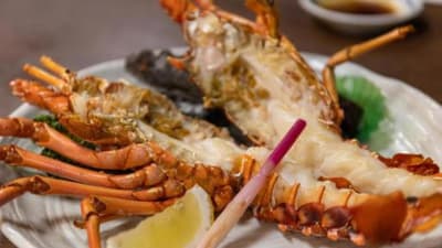 登别石水亭餐厅“樱房”推出“极味套餐”，包含金黄烤伊势龙虾，工作日每天仅限两组客人