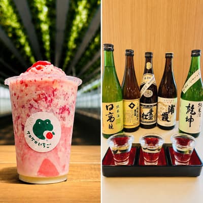 Nuevo plan de estancia otoñal con degustación de 3 sakes de Miyagi y postre de fresa de Shichikashuku en Mercure Miyagi Zao Resort & Spa