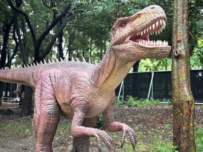 ABURAYAMA FUKUOKA “恐龙探险之旅”将于2026年5月开幕