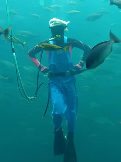 Shimoda Marine Aquarium Adds Fisherman-Costume Feeding Show to "All About Fixed-Net Fishing" Exhibition From July 25