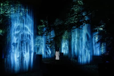 teamLab在千叶养老溪谷举办夜间户外艺术展