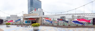 Koinobori Born Project 2026 Exhibition at Fukuya Hatchobori Honten Rooftop in Hiroshima