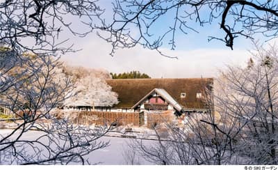 ROKKO 숲의 소리 뮤지엄 'SIKI 가든' 겨울 시즌 운영: 색이 변하는 나무와 숲의 고요함 (2026년 12월 1일 ~ 2027년 2월 28일)