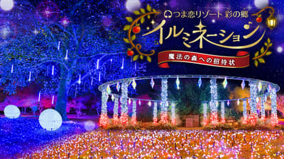 Iluminasi "Undangan ke Hutan Ajaib" di Tsumagoi Resort Sainosato Berlangsung dari 30 Oktober 2026 hingga Maret 2027
