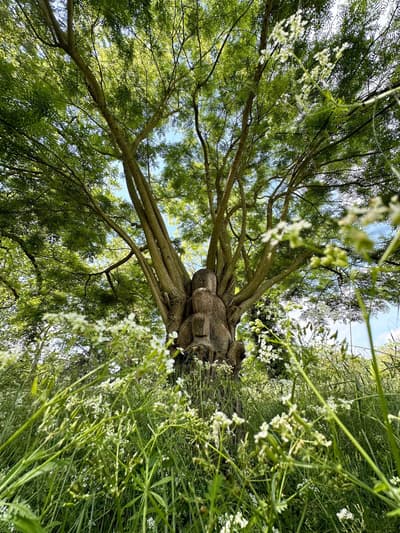 Paris-Based Sculptor Julien Signolet to Hold Special Exhibition "Goen" at Omishima Art Museum in Ehime