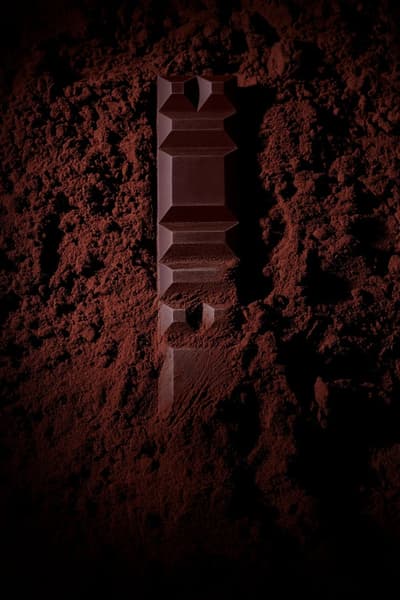 Alain Ducasse Chocolat Paris将于11月16日在名古屋荣三越开业，并同步引入饼干姊妹品牌